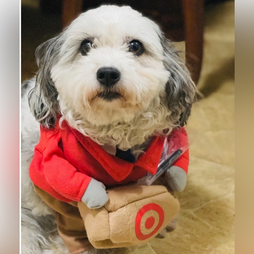 Dog Target Worker Costume